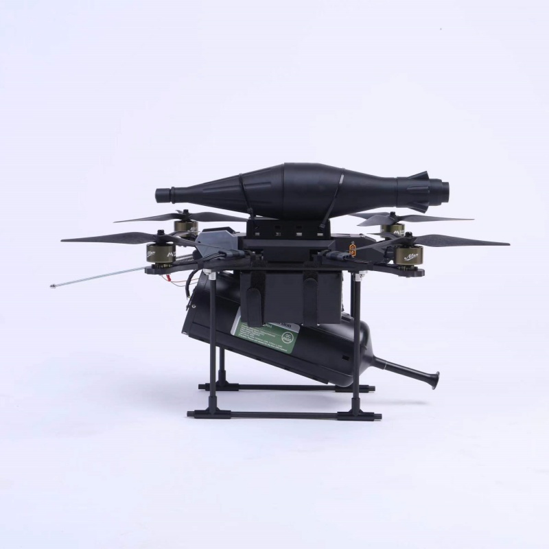 10inch_FPV